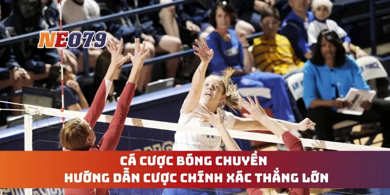 Cá Cược Bóng Chuyền - Hướng Dẫn Cược Chính Xác, Thắng Lớn