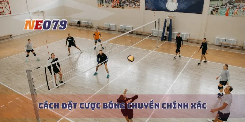 Cách đặt cược bóng chuyền chính xác