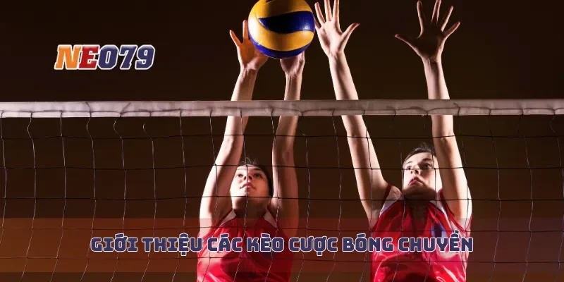 Giới thiệu các kèo cược bóng chuyền