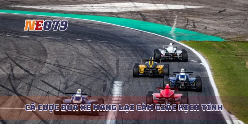 Cá cược đua xe mang lại cảm giác kịch tính