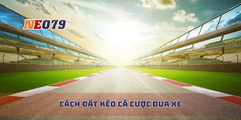 Cách đặt kèo cá cược đua xe