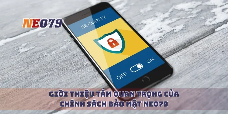 Giới thiệu tầm quan trọng của chính sách bảo mật Neo79
