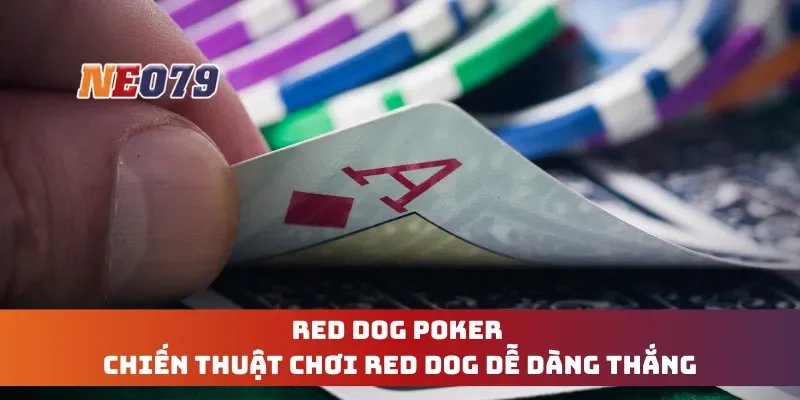 Red Dog Poker - Chiến Thuật Chơi Red Dog Dễ Dàng Thắng
