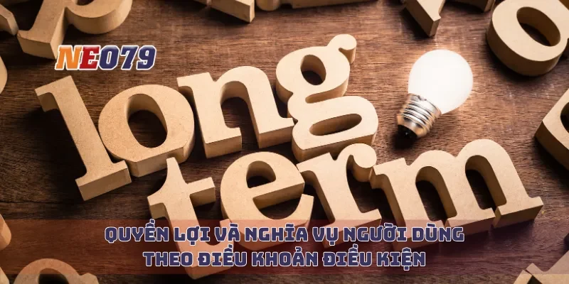 Quyền lợi và nghĩa vụ người dùng theo điều khoản điều kiện