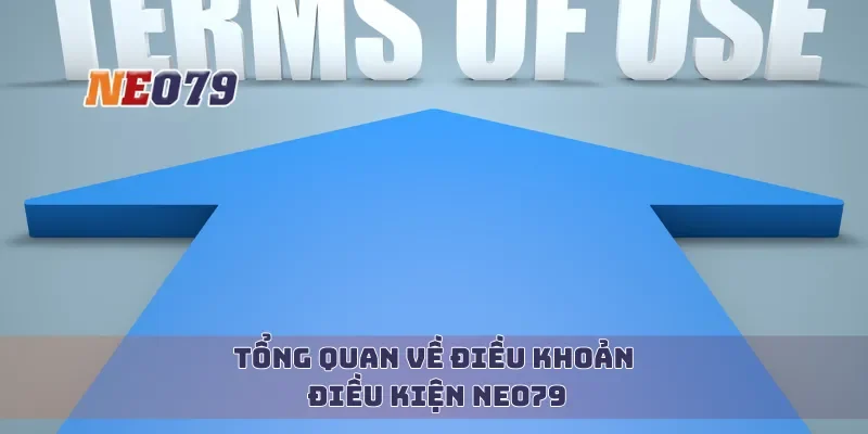 Tổng quan về điều khoản điều kiện Neo79